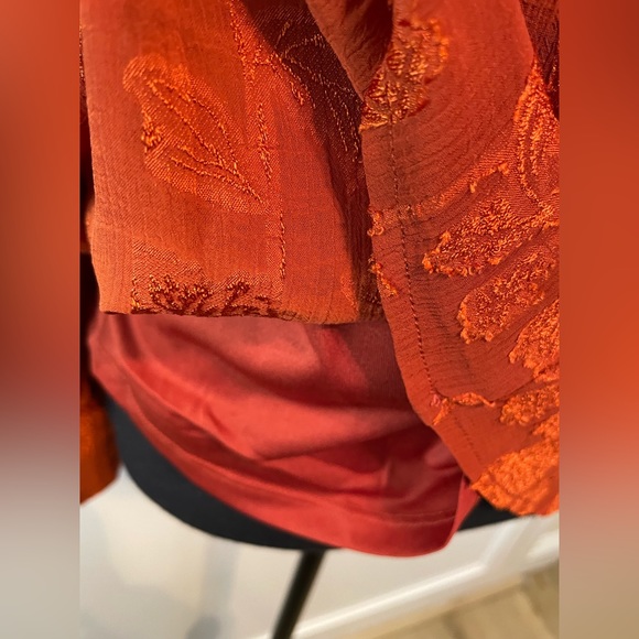 NWT - Haver + Blair Ruffle Neck Orange Blouse - Size Small - Picture 5 of 7